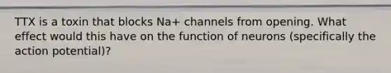 TTX is a toxin that blocks Na+ channels from opening. What effect would this have on the function of neurons (specifically the action potential)?