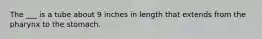 The ___ is a tube about 9 inches in length that extends from the pharynx to the stomach.