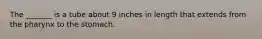 The _______ is a tube about 9 inches in length that extends from the pharynx to the stomach.