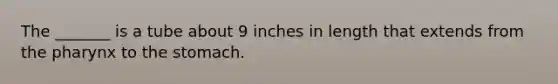 The _______ is a tube about 9 inches in length that extends from the pharynx to the stomach.