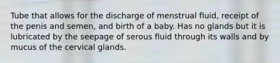 Tube that allows for the discharge of menstrual fluid, receipt of the penis and semen, and birth of a baby. Has no glands but it is lubricated by the seepage of serous fluid through its walls and by mucus of the cervical glands.