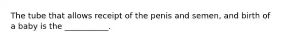 The tube that allows receipt of the penis and semen, and birth of a baby is the ___________.
