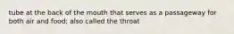 tube at the back of the mouth that serves as a passageway for both air and food; also called the throat