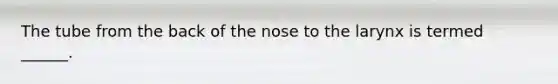 The tube from the back of the nose to the larynx is termed ______.