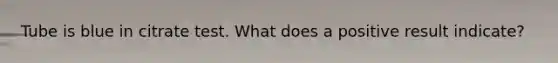 Tube is blue in citrate test. What does a positive result indicate?