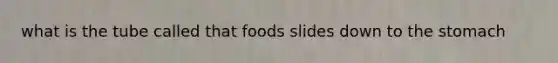 what is the tube called that foods slides down to <a href='https://www.questionai.com/knowledge/kLccSGjkt8-the-stomach' class='anchor-knowledge'>the stomach</a>