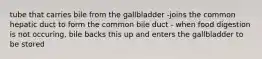 tube that carries bile from the gallbladder -joins the common hepatic duct to form the common bile duct - when food digestion is not occuring, bile backs this up and enters the gallbladder to be stored