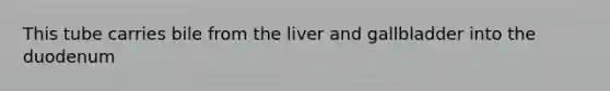 This tube carries bile from the liver and gallbladder into the duodenum