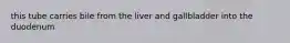 this tube carries bile from the liver and gallbladder into the duodenum