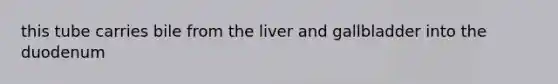 this tube carries bile from the liver and gallbladder into the duodenum