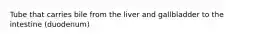 Tube that carries bile from the liver and gallbladder to the intestine (duodenum)