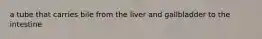 a tube that carries bile from the liver and gallbladder to the intestine