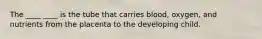The ____ ____ is the tube that carries blood, oxygen, and nutrients from the placenta to the developing child.