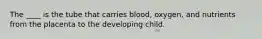 The ____ is the tube that carries blood, oxygen, and nutrients from the placenta to the developing child.