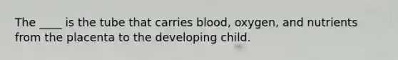 The ____ is the tube that carries blood, oxygen, and nutrients from the placenta to the developing child.