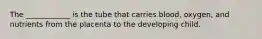 The ____________ is the tube that carries blood, oxygen, and nutrients from the placenta to the developing child.