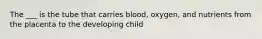 The ___ is the tube that carries blood, oxygen, and nutrients from the placenta to the developing child