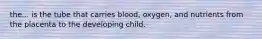 the... is the tube that carries blood, oxygen, and nutrients from the placenta to the developing child.