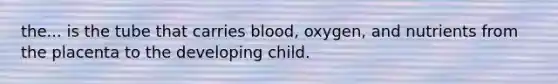 the... is the tube that carries blood, oxygen, and nutrients from the placenta to the developing child.