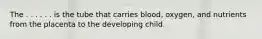 The . . . . . . is the tube that carries blood, oxygen, and nutrients from the placenta to the developing child.