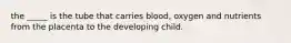 the _____ is the tube that carries blood, oxygen and nutrients from the placenta to the developing child.