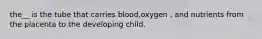 the__ is the tube that carries blood,oxygen , and nutrients from the placenta to the developing child.