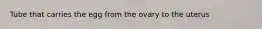 Tube that carries the egg from the ovary to the uterus