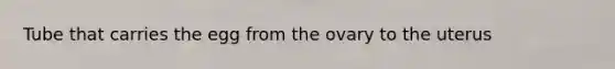 Tube that carries the egg from the ovary to the uterus