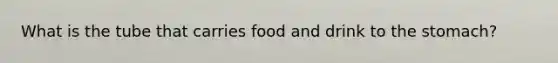 What is the tube that carries food and drink to <a href='https://www.questionai.com/knowledge/kLccSGjkt8-the-stomach' class='anchor-knowledge'>the stomach</a>?