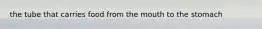 the tube that carries food from the mouth to the stomach