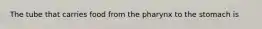 The tube that carries food from the pharynx to the stomach is