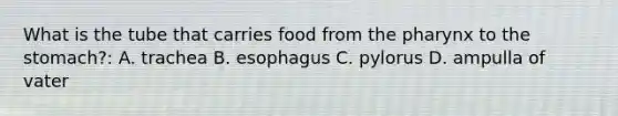 What is the tube that carries food from the pharynx to the stomach?: A. trachea B. esophagus C. pylorus D. ampulla of vater