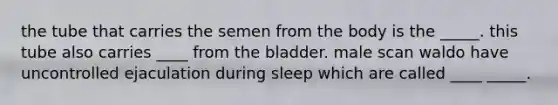 the tube that carries the semen from the body is the _____. this tube also carries ____ from the bladder. male scan waldo have uncontrolled ejaculation during sleep which are called ____ _____.