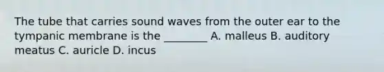 The tube that carries sound waves from the outer ear to the tympanic membrane is the​ ________ A. malleus B. auditory meatus C. auricle D. incus