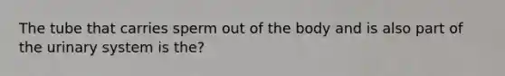 The tube that carries sperm out of the body and is also part of the urinary system is the?