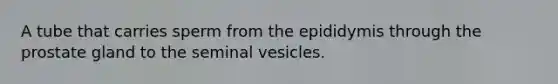 A tube that carries sperm from the epididymis through the prostate gland to the seminal vesicles.