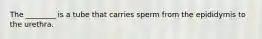 The ________ is a tube that carries sperm from the epididymis to the urethra.