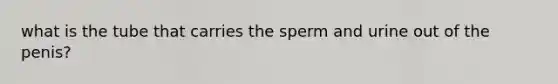 what is the tube that carries the sperm and urine out of the penis?