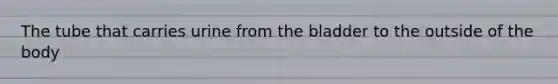 The tube that carries urine from the bladder to the outside of the body