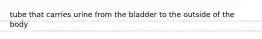 tube that carries urine from the bladder to the outside of the body