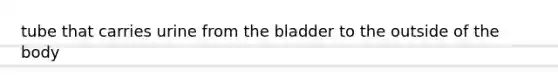 tube that carries urine from the bladder to the outside of the body