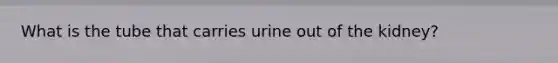 What is the tube that carries urine out of the kidney?