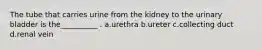 The tube that carries urine from the kidney to the urinary bladder is the__________ . a.urethra b.ureter c.collecting duct d.renal vein