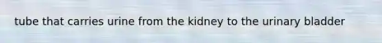 tube that carries urine from the kidney to the urinary bladder