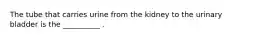 The tube that carries urine from the kidney to the urinary bladder is the __________ .