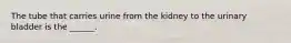 The tube that carries urine from the kidney to the urinary bladder is the ______.