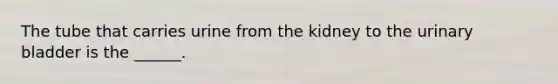 The tube that carries urine from the kidney to the <a href='https://www.questionai.com/knowledge/kb9SdfFdD9-urinary-bladder' class='anchor-knowledge'>urinary bladder</a> is the ______.