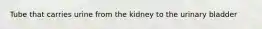 Tube that carries urine from the kidney to the urinary bladder