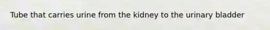 Tube that carries urine from the kidney to the urinary bladder