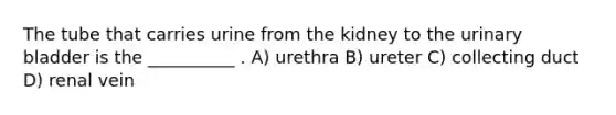 The tube that carries urine from the kidney to the urinary bladder is the __________ . A) urethra B) ureter C) collecting duct D) renal vein